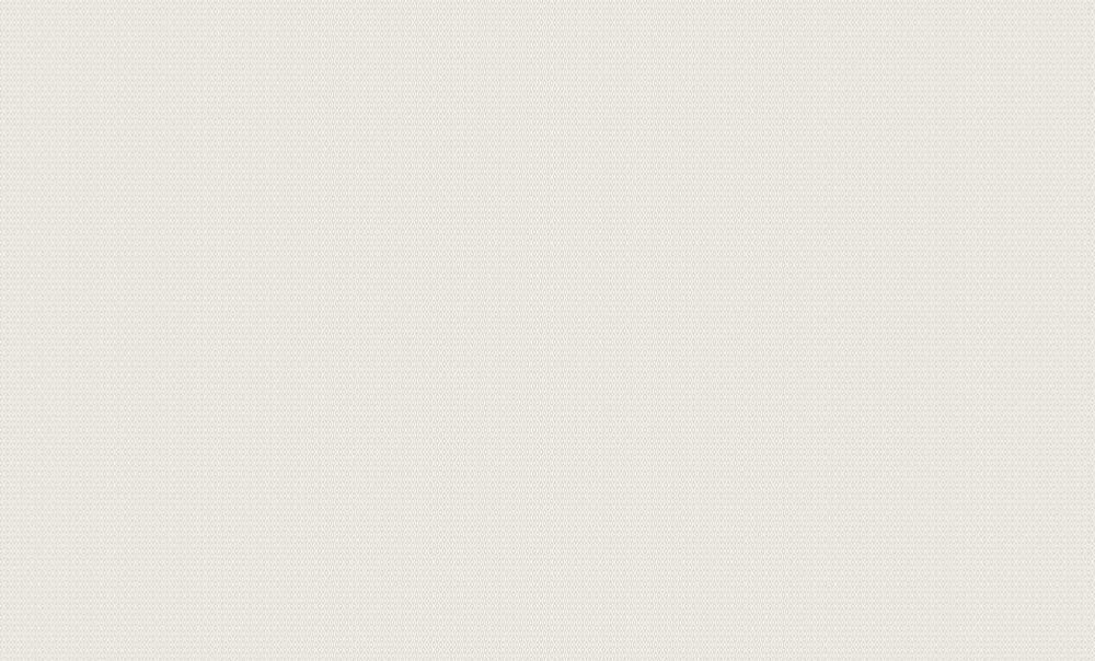 Обои Сар.С50 Эрмитаж фон 00 5040 (6) 10,05/1м