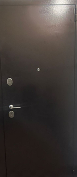 МЕТАЛЛИЧЕСКАЯ ДВЕРЬ В КВАРТИРУ