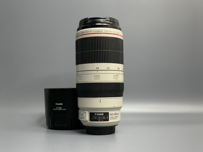 Canon 100-400mm IS II USM Пыль под линзой