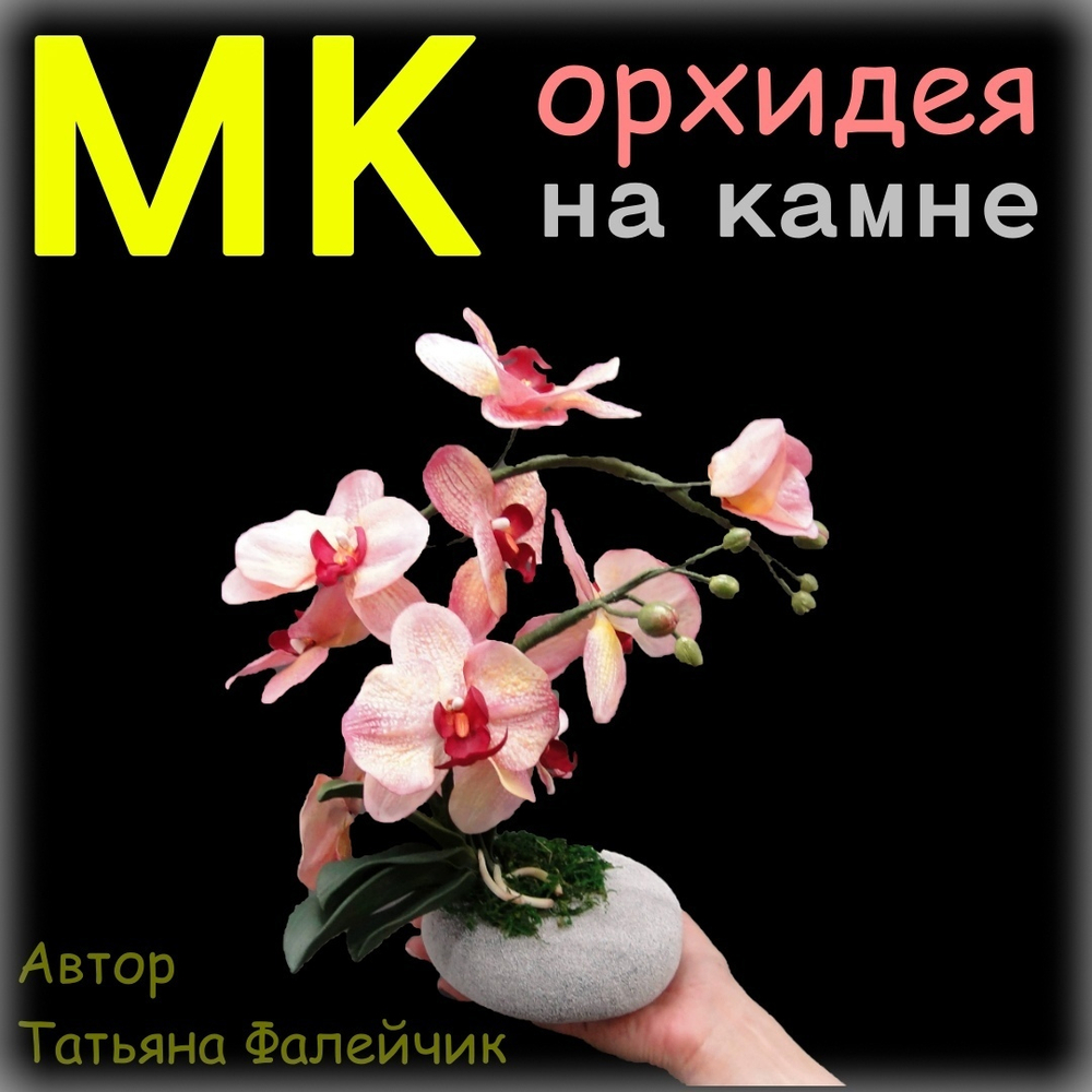 МК Дикая орхидея на камне