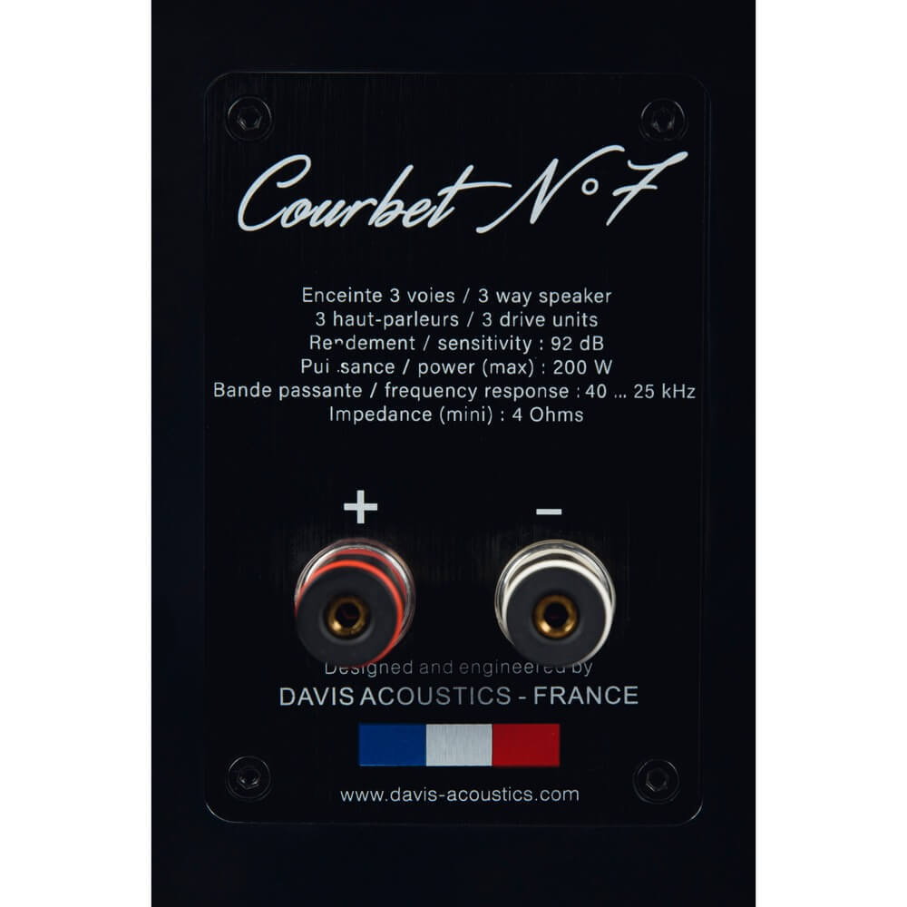Напольная акустика Davis Acoustics Courbet 7