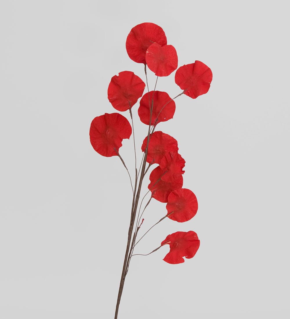 TRN 230 Цветной горошек