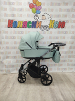 Коляска модульная Adamex Zico New Z-TK 27