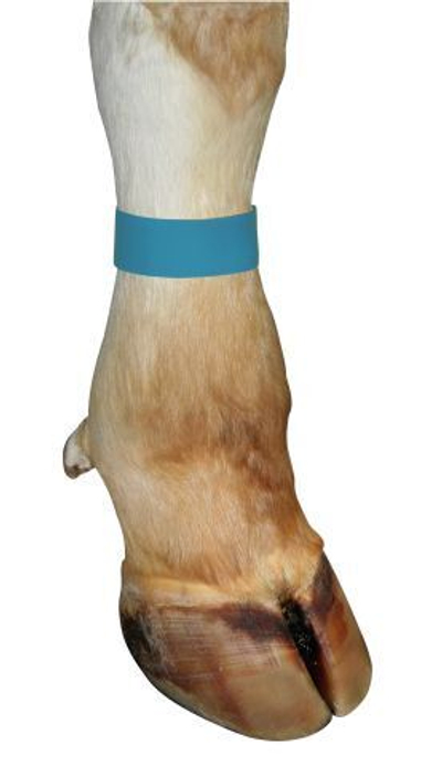 Ножные ленты Банды КРС синие (липучка), 10 шт