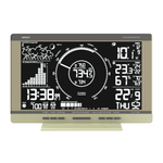 Морская метеостанция RST Q770, шампань