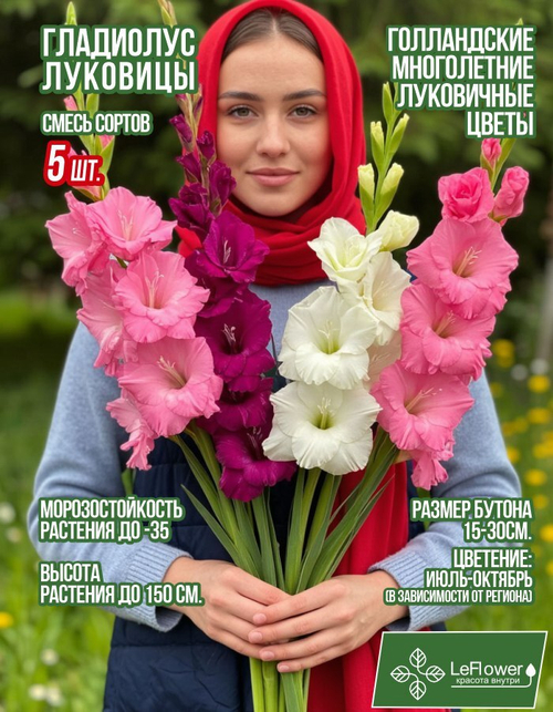 Гладиолус Луковица, Микс сортов, разбор 14+, 5шт