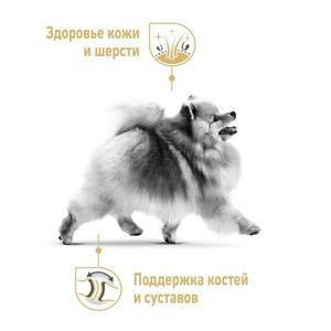 Корм для взрослых собак породы померанский шпиц, Royal Canin Pomeranian Adult