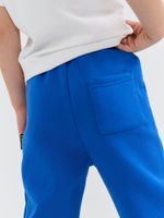 Джоггеры с карманом "Электрик" утепленные