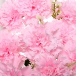 Искусственные цветы «Букет Гвоздик» 48см 10 цветков розовый