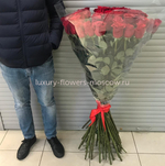 51 Роза Эквадор 90см под ленту
