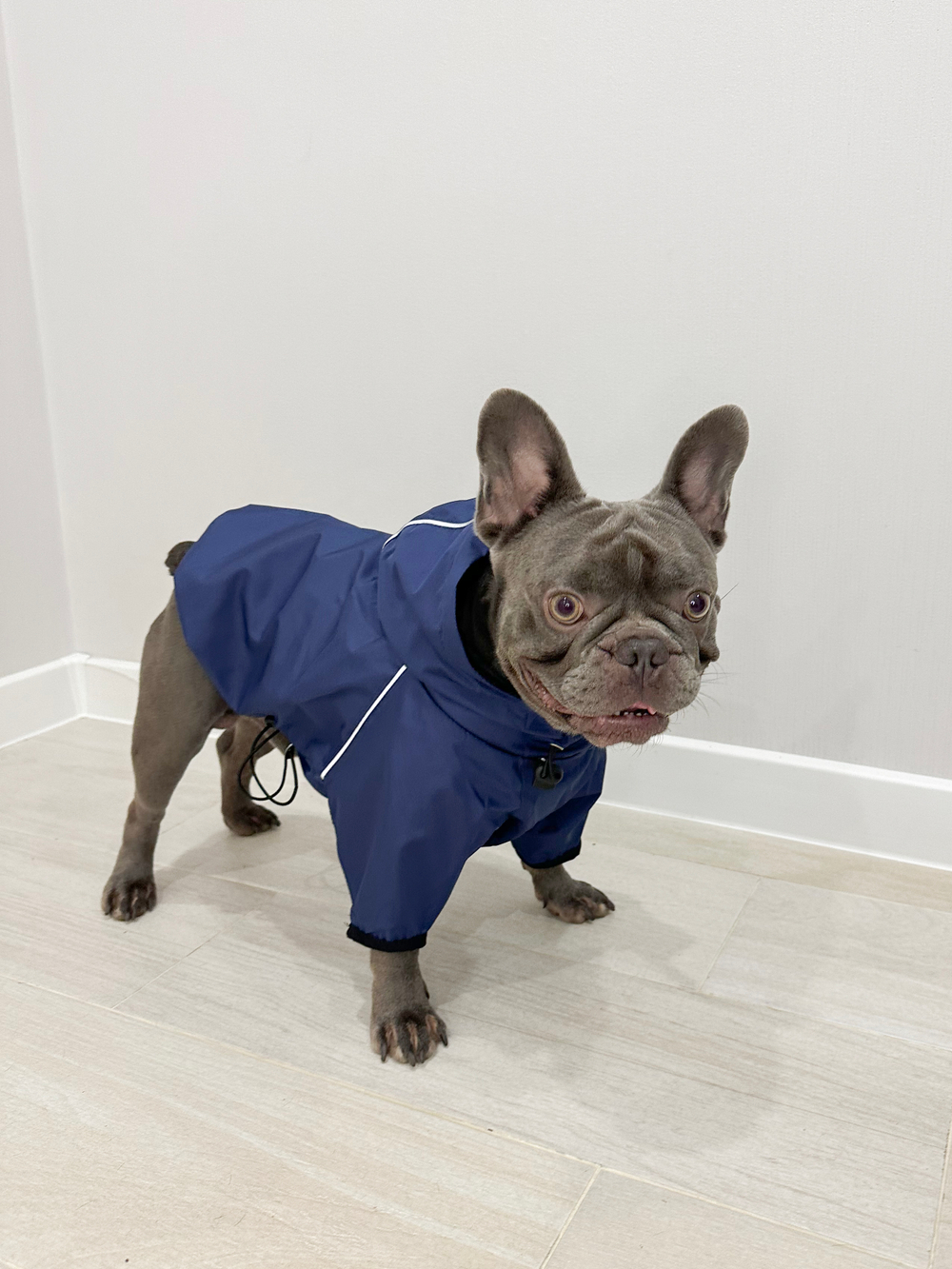 Универсальная куртка дождевик для собак Монморанси, цвет олива, размер L