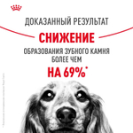 Royal Canin Mini Dental Care Корм сухой для собак мелких размеров 3 кг