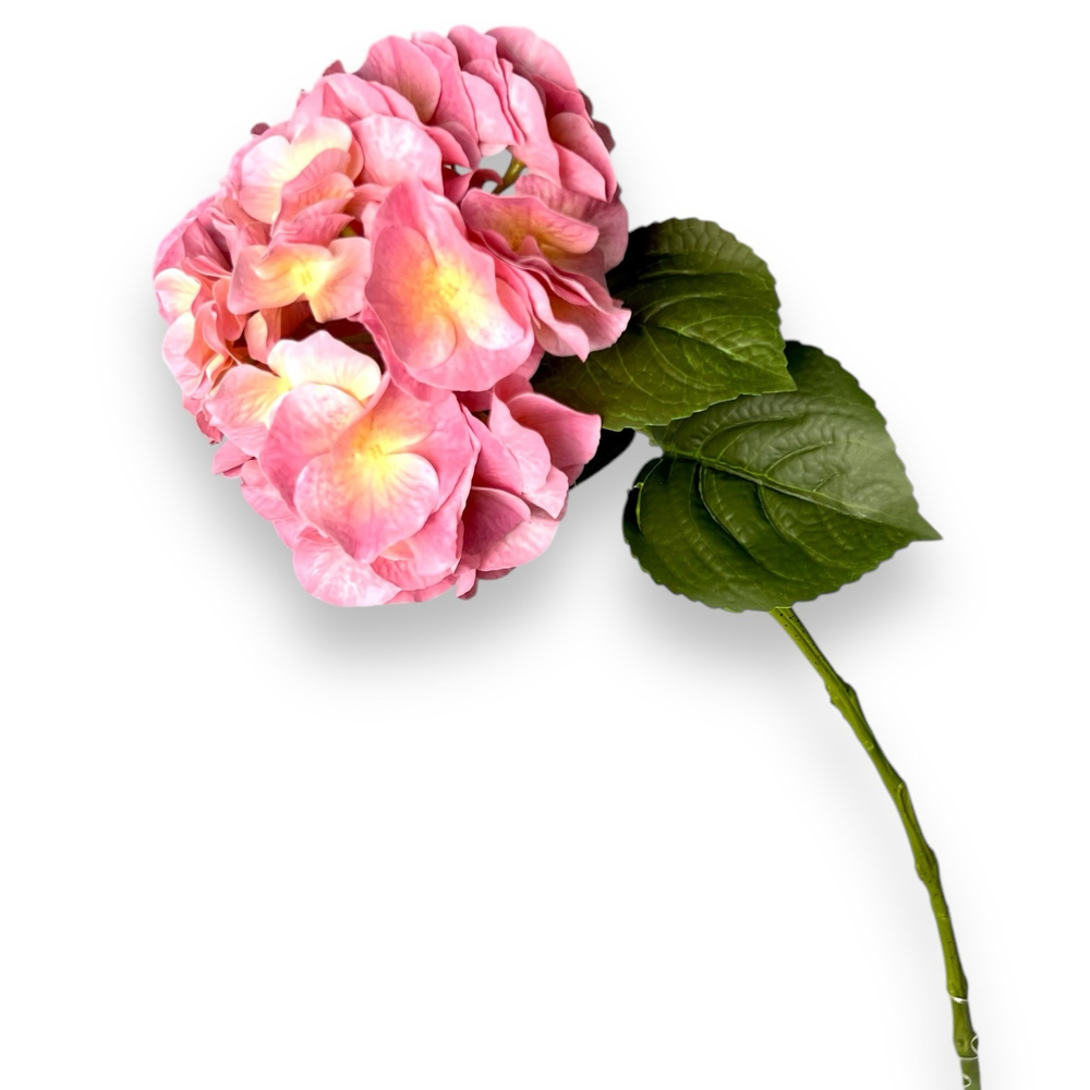 Гортензия премиум нежно-розовая