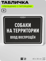 Табличка "Собаки на территории, вход воспрещен" на дверь и забор, для двора, дома, подъезда, 40х30 см, Silver Plane x Айдентика Технолоджи