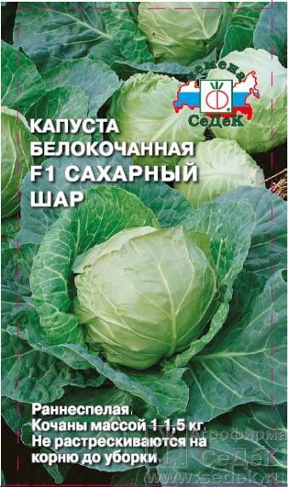 Капуста б/к Сахарный шар F1 0,5 г Седек