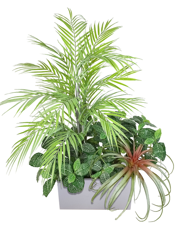 Композиция Тропическая из растений в кашпо