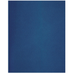 Тетрадь общая BG, А4, 80 листов в клетку, обложка бумвинил, синий, эконом.