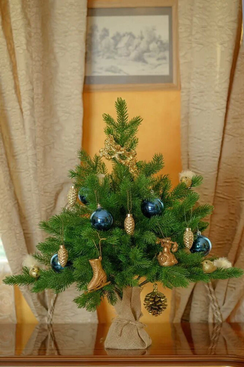 Ель Царь Елка Астерия Премиум 60см 3D