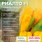РИАЛТО F1 семена перца сладкого (Nunhems) культура