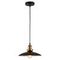 Подвесной светильник Lussole Loft Glen Cove GRLSP-9604