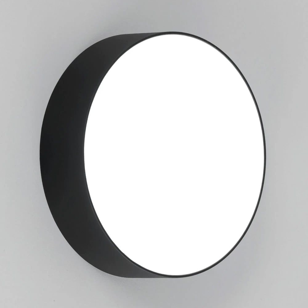 Citilux Тао CL712122N LED Светильник потолочный с диммером Чёрный