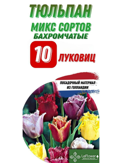 Тюльпан Луковица, Микс бахромчатых сортов, 10шт