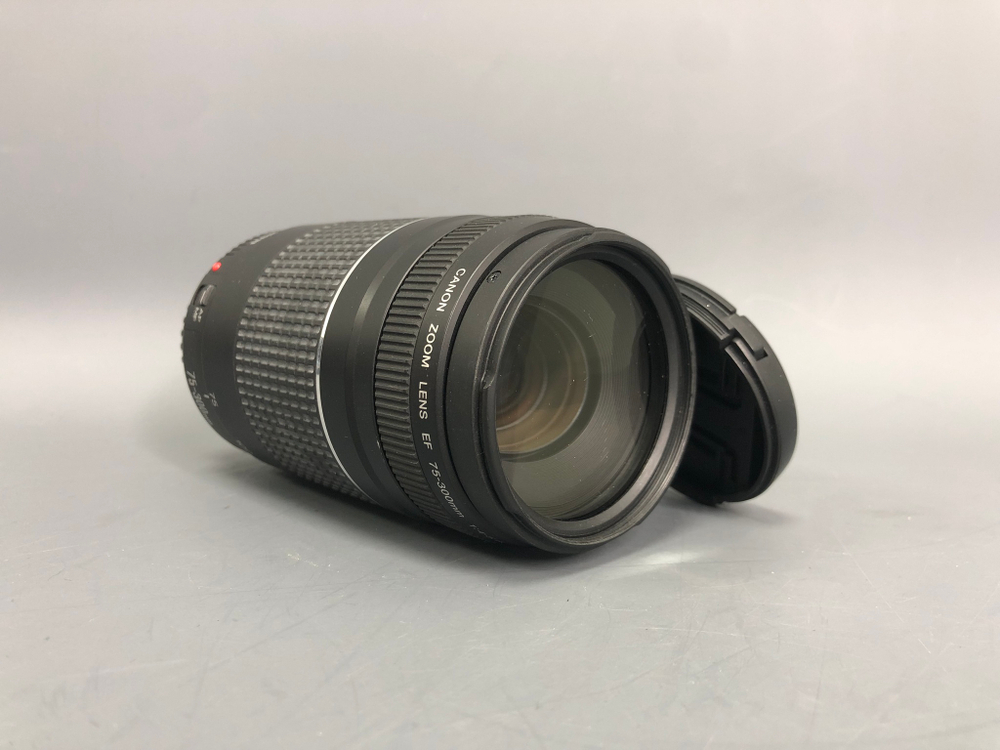 Canon EF 75-300mm 4-5.6 III