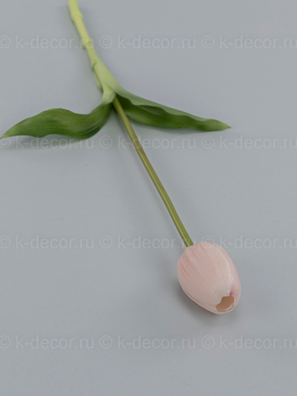 Тюльпан силикон VIP нежно-розовый