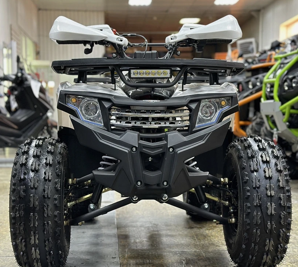 КВАДРОЦИКЛ PROMAX WILD 2.0 190