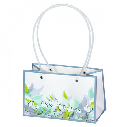 Пакет ПРЯМОУГОЛЬНЫЙ 22*10,5*13,5см ЖАСМИН