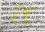 Девясил Много Сил 0,05 г СМЗ-271