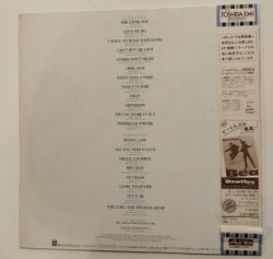 Винтажная виниловая пластинка LP The Beatles 20 Greatest Hits (Japan 1982)