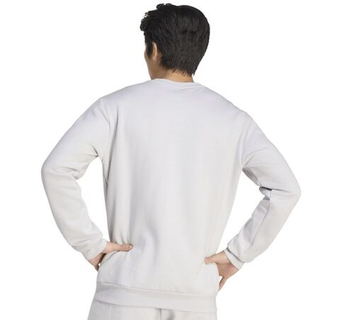 Мужская теннисная кофта Adidas Entrada 26 Sweat - grey/white