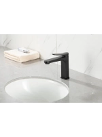 Смеситель для раковины GAPPO G1010-6
