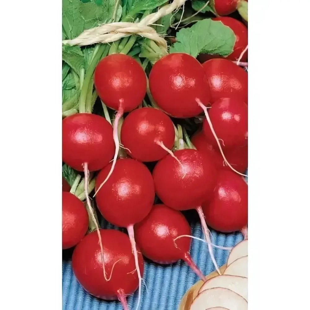 Семена Редис Лада (УД) Е/П