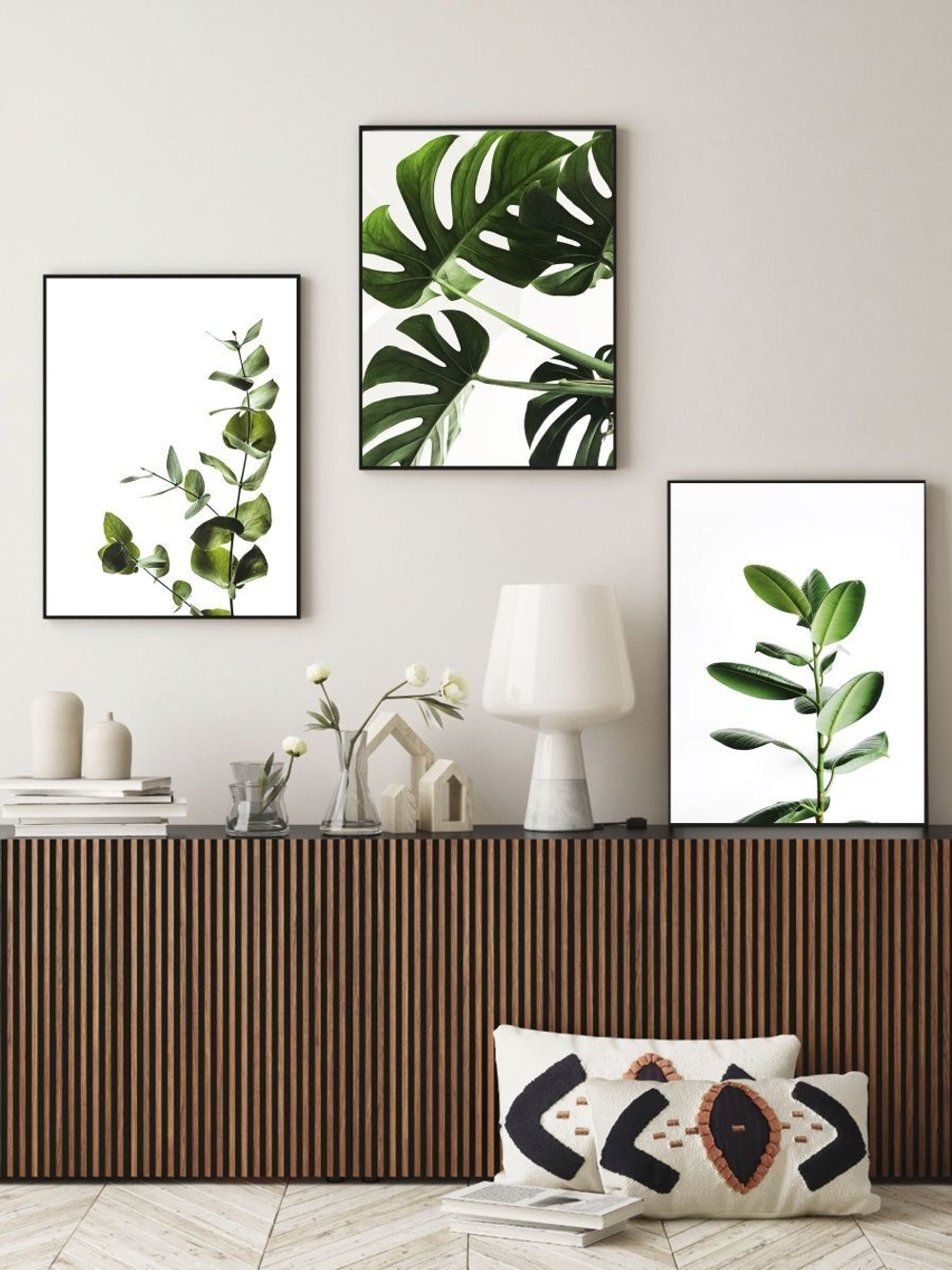 Набор постеров 40х50 растения 3 шт арт 156986686 ТТН 246259226