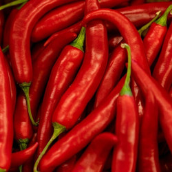 Семена острого кайенского перца чили (Сayenne Сhili Peppers) 25шт