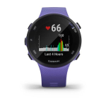Часы Garmin Forerunner 45S ирис