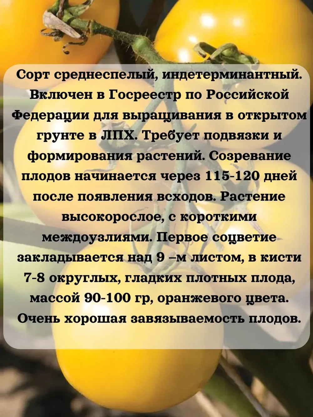 Семена Томат Созвездие 0.2 гр