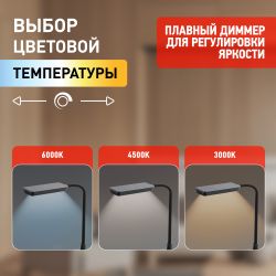 Настольный светильник ЭРА NLED-499-10W-BK светодиодный черный