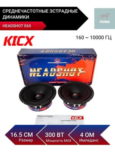 Колонки автомобильные эстрадные Headshot E65 16,5см ()