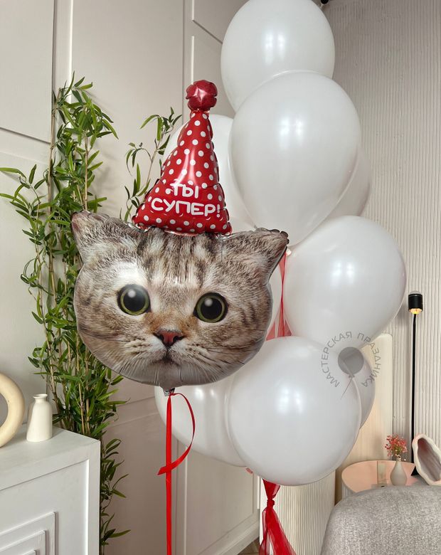 Воздушные шары №8258