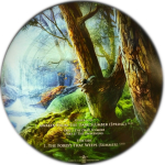 Wintersun / The Forest Seasons (Box Set)(Picture Disc)(2LP+3CD)