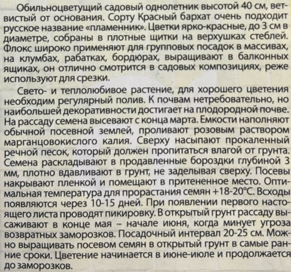 Флокс Красный бархат друммонда 0,1 г СМЦ-287