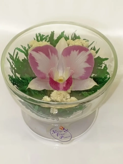 натуральные цветы в стекле, вакуум