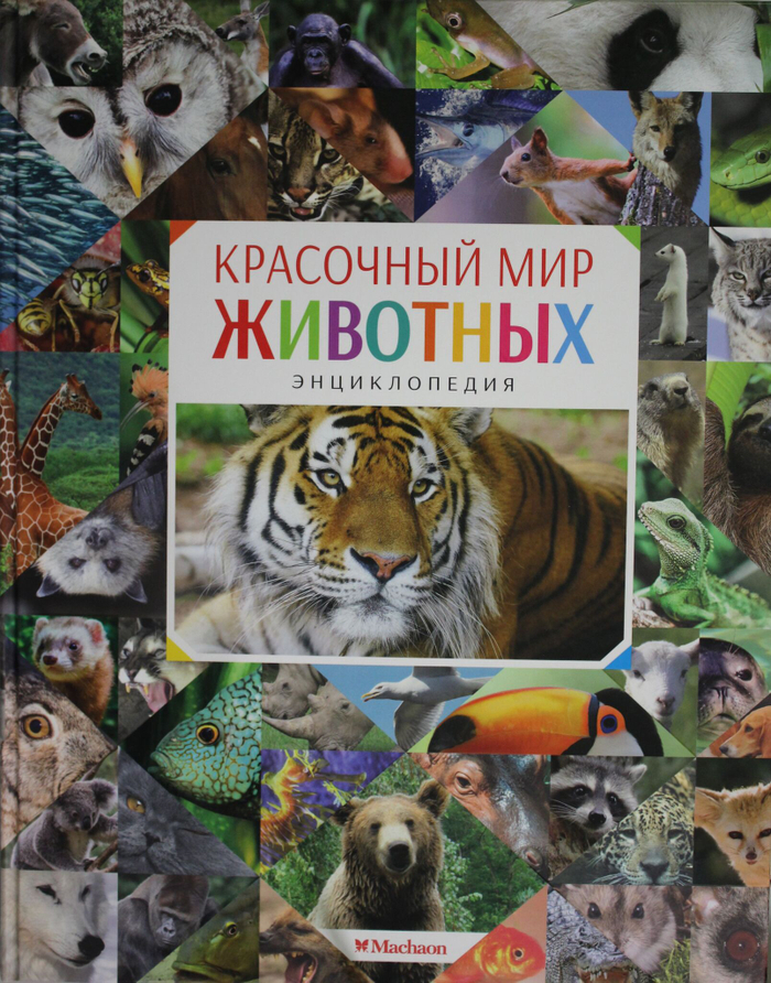 Красочный мир животных. Энциклопедия