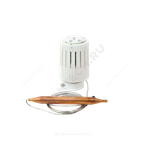 Элемент термостатический R462L1 жид/нап клипс clip-clap 20-70oC с погружным темп/датчиком L=2 м Giacomini R462LX011
