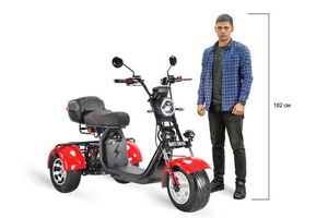 Электроскутер CityCoco WHITE SIBERIA PRO TRIKE 3000W (Красный) фото 24 фото №29