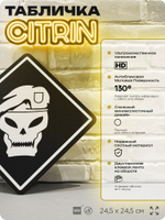 Табличка декоративная "Call of Duty: Black Ops" на дверь и стену, прикольная штука в подарок геймеру, декоративный знак, 24,5х24,5 см, Айдентика Технолоджи