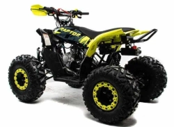 Квадроцикл Motoland 125 RAPTOR A